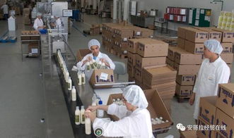 投資1000萬(wàn)美元的化妝品加工廠在安開(kāi)業(yè)，引領(lǐng)本土美妝產(chǎn)業(yè)新格局